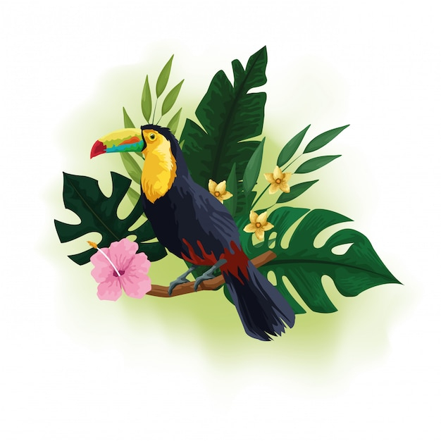 Dessin D&amp;#039;Oiseaux Exotiques Et De Fleurs Tropicales  Vecteur Gratuite dedans Dessins D Oiseaux 