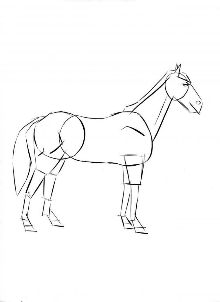 Dessin Facile De Cheval Élégant Image Activités Enfants Dessiner Un à Dessin De Cheval Facile A Dessiner