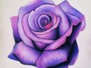 Dessin Fleur Rose Beau Stock Fleur En Dessin Couleur - Coloriage à Fleur Rose Dessin