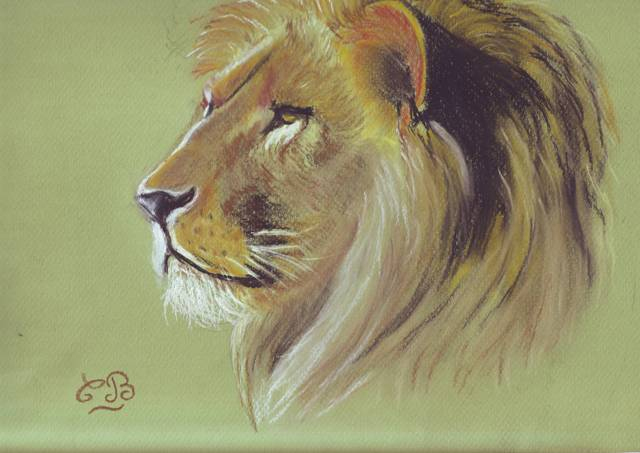 Dessin Lion Crayon : Par Heather Rooney  Dessin Crayon De Couleur encequiconcerne Dessiner Un Lion Facilement 