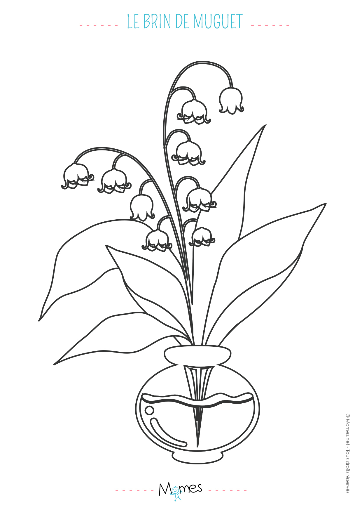 Dessin Muguet - Les Dessins Et Coloriage tout Dessin Facile A Colorier 