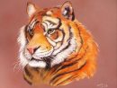 Dessin Tigre Félin Majestueux - Mon Félin Préféré  Dessin Tigre avec Tigre En Dessin