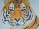 Dessin Tigre Réaliste  Etsy  Art Drawings Sketches Simple, Art intérieur Tigre En Dessin