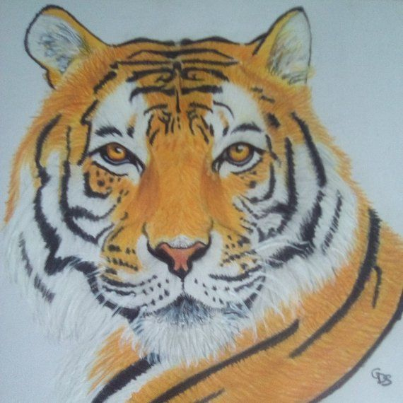 Dessin Tigre Réaliste  Etsy  Art Drawings Sketches Simple, Art intérieur Tigre En Dessin