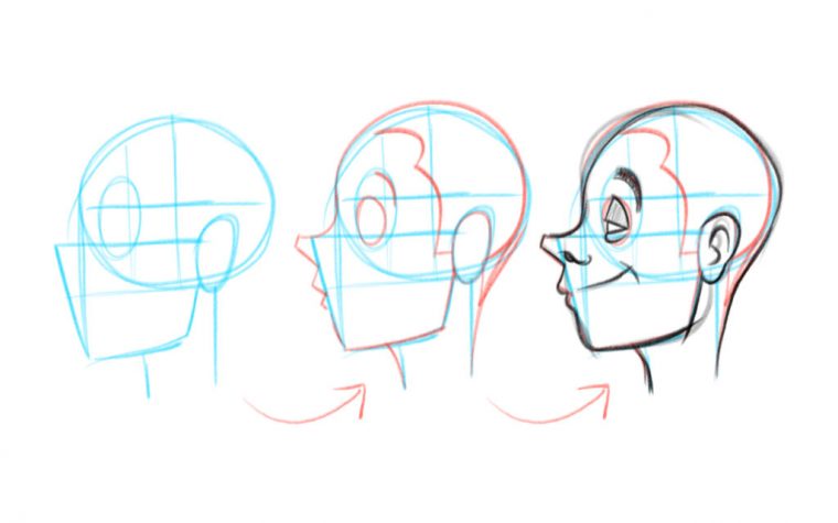 Dessiner Des Visages  Les Bases Du Cartoon  Kastor Corp. pour Dessiner Les Visages