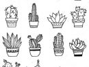Dessiner Un Cactus - Coloriage Gratuit Imprimer destiné Coloriage Cactus