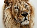 Dessiner Un Lion Réaliste - Dessin Facile Pour Les Enfants dedans Dessiner Un Lion Facilement