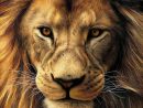 Dessiner Un Lionceau - Dessin Facile Pour Les Enfants tout Dessiner Un Lion Facilement