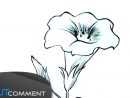 Dessiner Une Fleur Facilement -  En 2020  Dessin Fleur, Dessin avec Fleur A Dessiner Facile