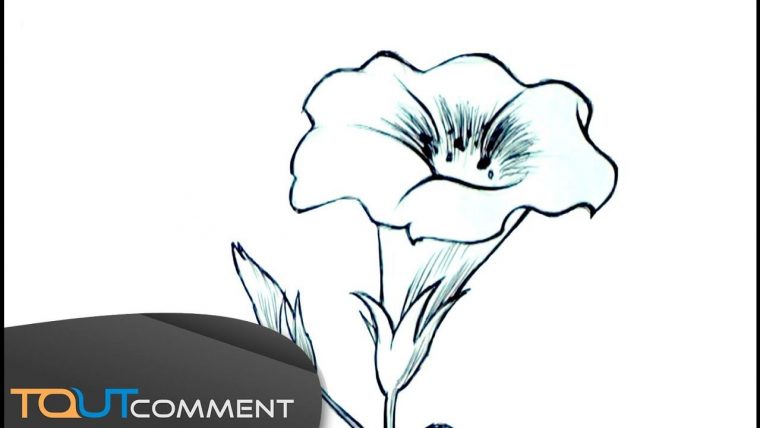 Dessiner Une Fleur Facilement –  En 2020  Dessin Fleur, Dessin avec Fleur A Dessiner Facile