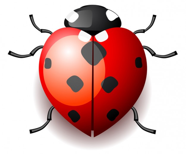 Dessins En Couleurs À Imprimer : Coccinelle, Numéro : 74008 pour Dessin A Imprimer En Couleur 