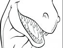 Dinosaurs Drawing Outlines At Getdrawings  Free Download tout Dessin Dino