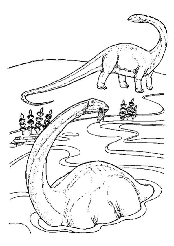 Diplodocus Pictures - Coloring Home tout How To Draw A Diplodocus