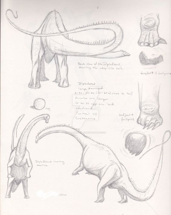 Diplodocus Study By Thelynnefiles On Deviantart  Diplodocus, Dinosaur avec How To Draw A Diplodocus