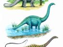 Diplodocus Through The Years By T-Pekc On Deviantart  Diplodocus encequiconcerne How To Draw A Diplodocus