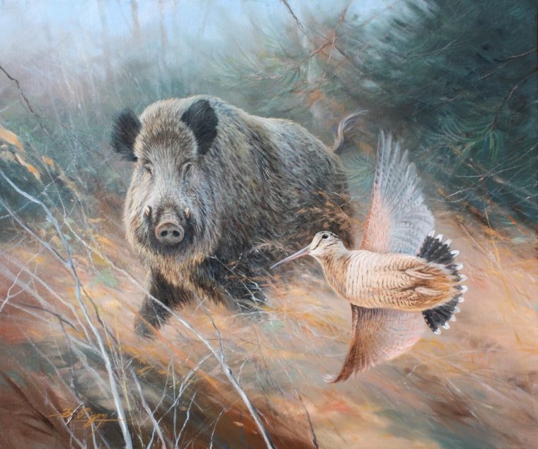 Dominique Pizon  Peinture D'Animal, Art Des Animaux Sauvages, Art De pour Dessin De Chasse Au Sanglier