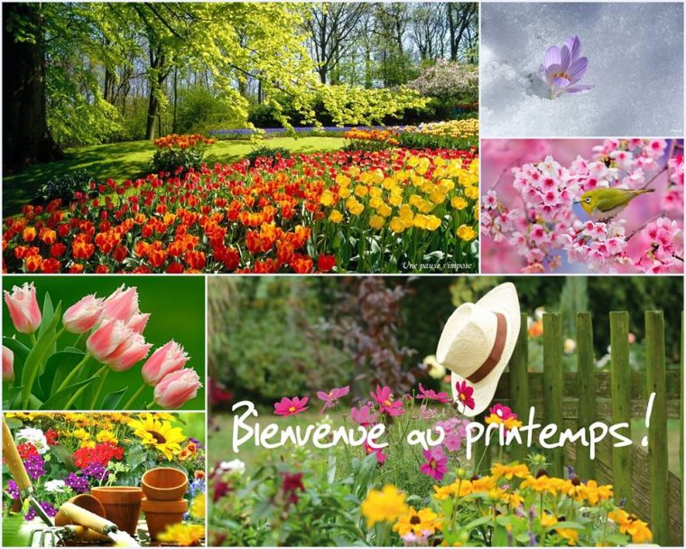 ᐅ 32 Printemps Images, Photos Et Illustrations Pour Facebook – Bonnesimages concernant Printemps Images Gratuites