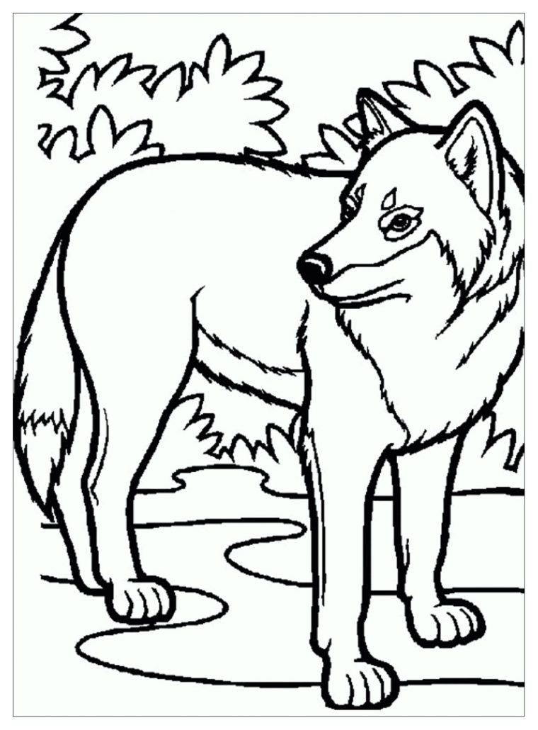 Enfant Loup – Coloriage De Loups – Coloriages Pour Enfants à Coloriage Loup