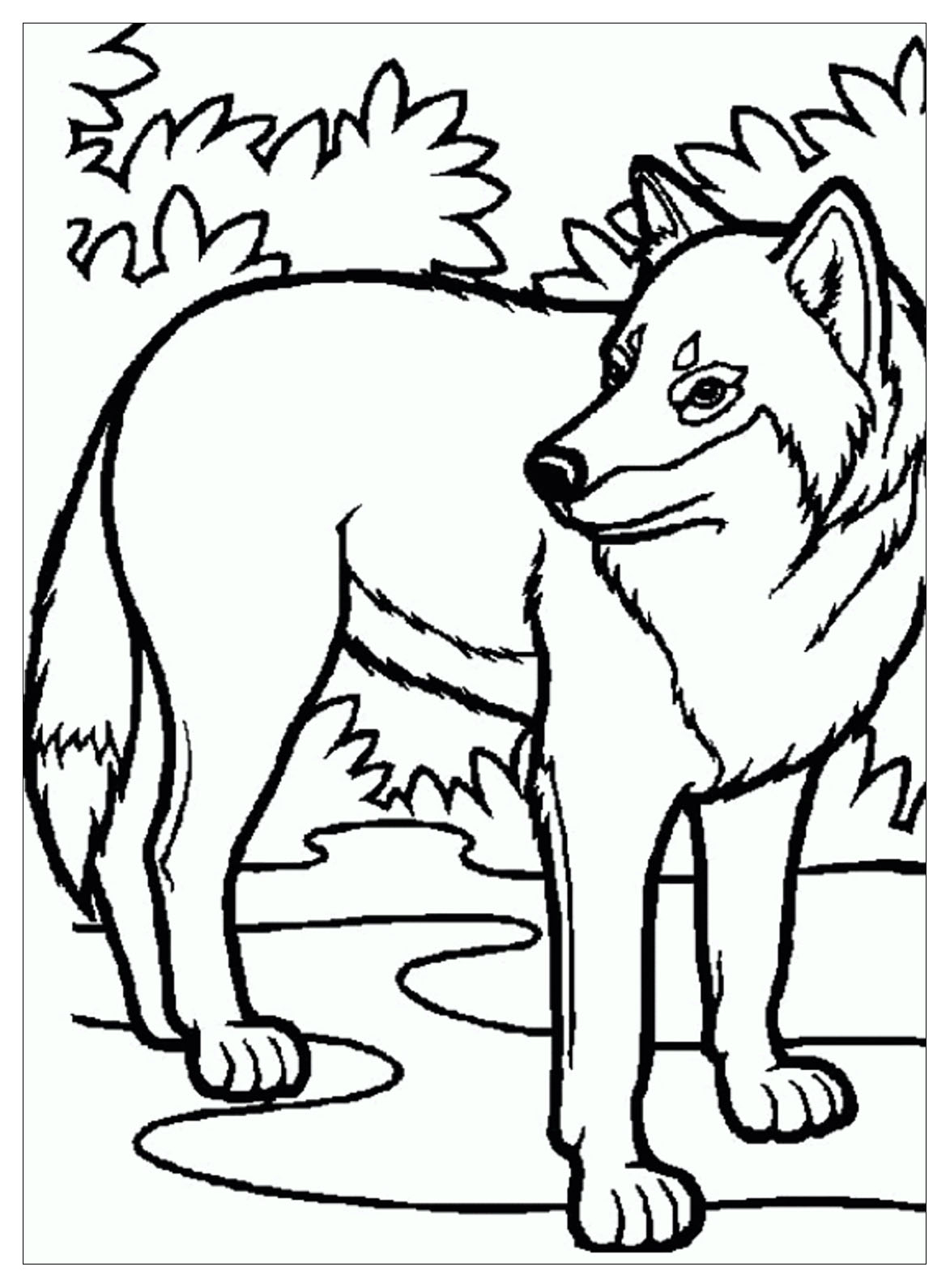 Enfant Loup - Coloriage De Loups - Coloriages Pour Enfants à Coloriage Loup 