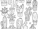 Ensemble De Plante De Cactus À Kawaii Doodle  Vecteur Premium à Coloriage Cactus