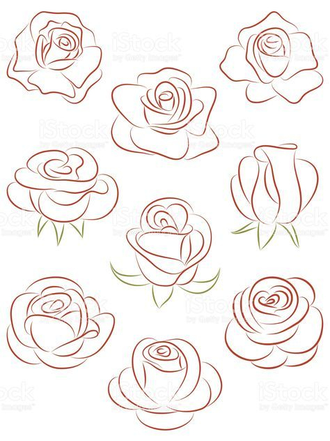 Ensemble De Roses. Illustration Vectorielle.  Dessin De Roses à Dessin Roses 