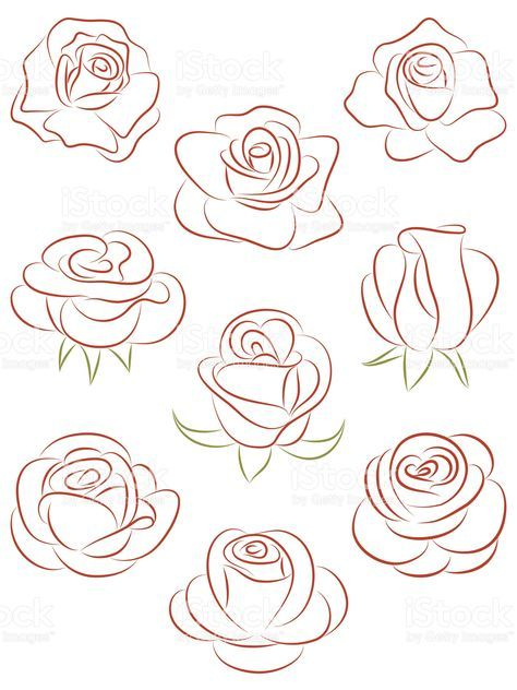 Ensemble De Roses. Illustration Vectorielle.  Dessin De Roses dedans Dessins De Roses 