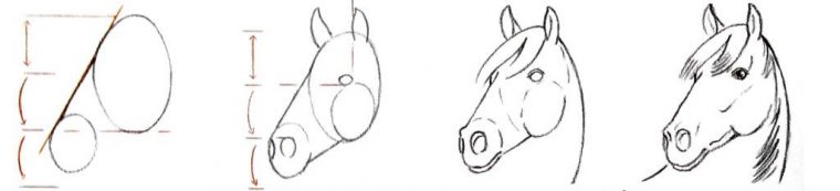 Épinglé Par Crayons Et Pinceaux Sur Comment Dessiner  Tete De à Dessin De Cheval Facile A Dessiner