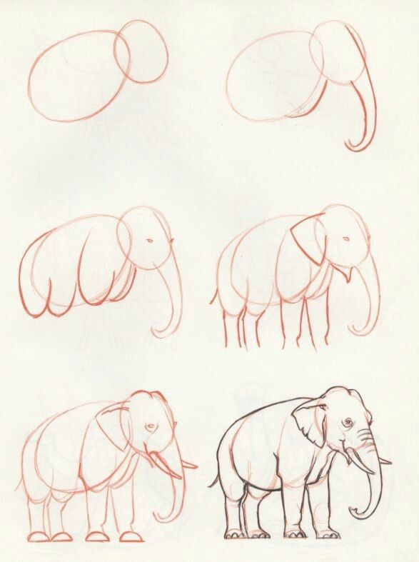 Épinglé Par Donald Cole Sur Animals (Avec Images)  Dessin Éléphant intérieur Comment Dessiner Un Éléphant 