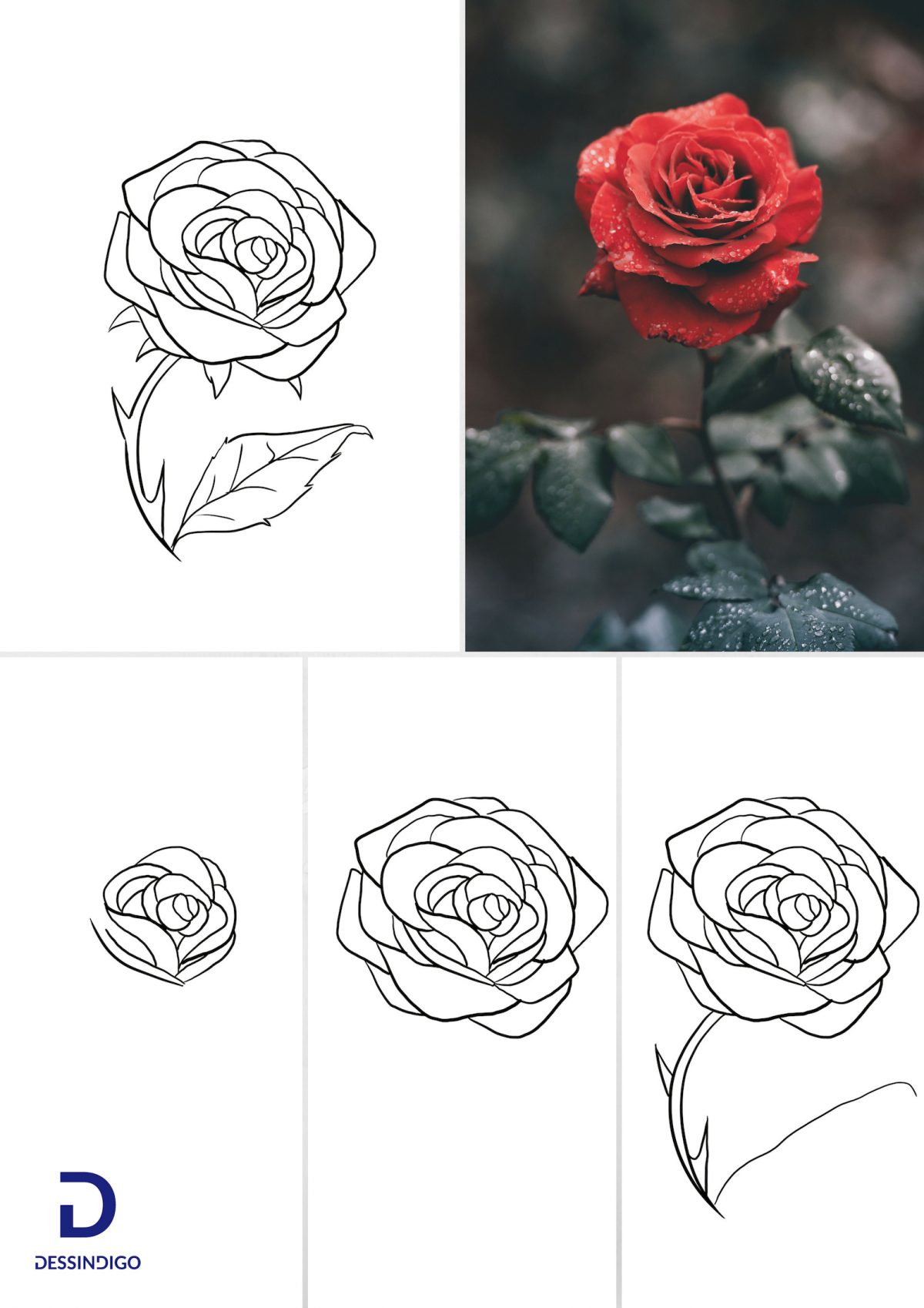 Épinglé Sur Apprendre À Dessiner Avec Dessindigo pour Apprendre À Dessiner Des Fleurs