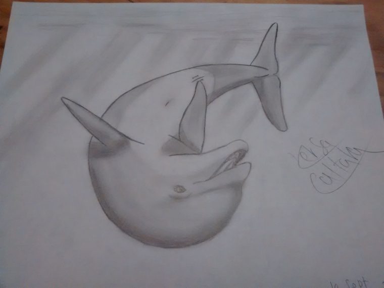 Épinglé Sur My Drawing  Mes Dessins tout Dauphin Dessin