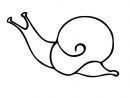 Escargot Coloriage Gratuit - Animaux Coloriages Gratuit Dessin, Picture pour Escargot Dessin