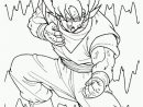 Facile Dragon Ball Goku Super Saiyan - Coloriage Dragon Ball Z avec Dessins De Dragon Ball Z
