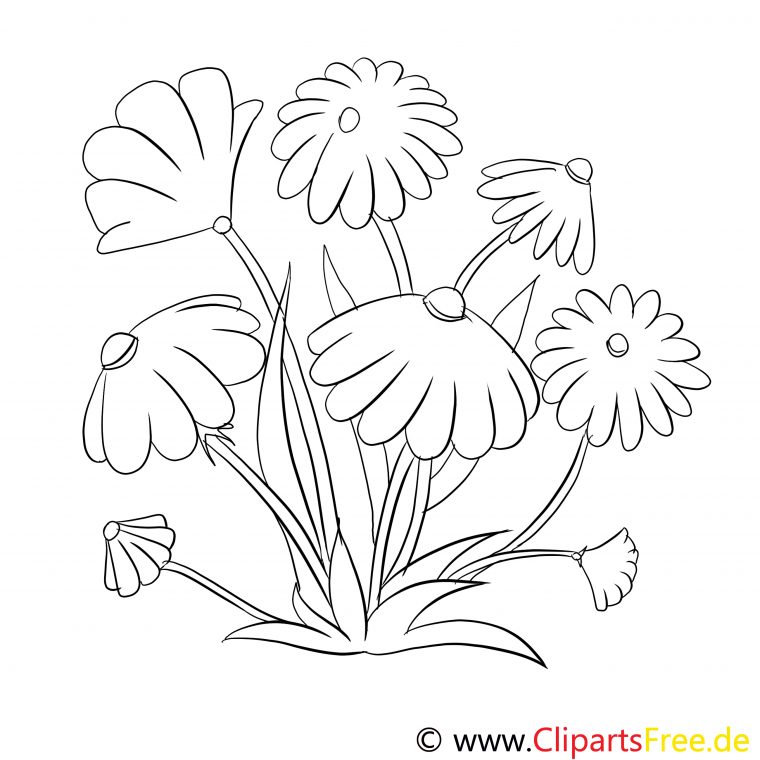 Fleurs Clipart Dessins À Colorier – Fleurs Coloriages Dessin, Picture destiné Dessins A Colorier