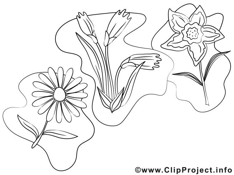 Fleurs Image À Colorier Images Cliparts – Divers Pages À Colorier encequiconcerne Fleurs À Colorier