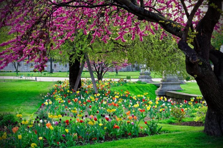 Fond Décran Fond D Écran Paysage Printemps Gratuit Pour Ordinateur destiné Printemps Images Gratuites