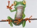 Freddy  Frog Art, Pop Art Animals, Canvas Painting intérieur Dessin De Grenouille Marrante