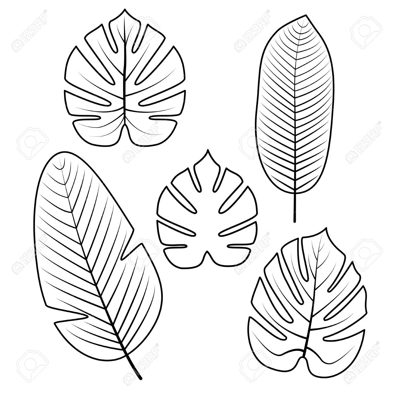 Free Download Tropical Palm Leaves Isolated On White Background Outline tout Patron Feuille 