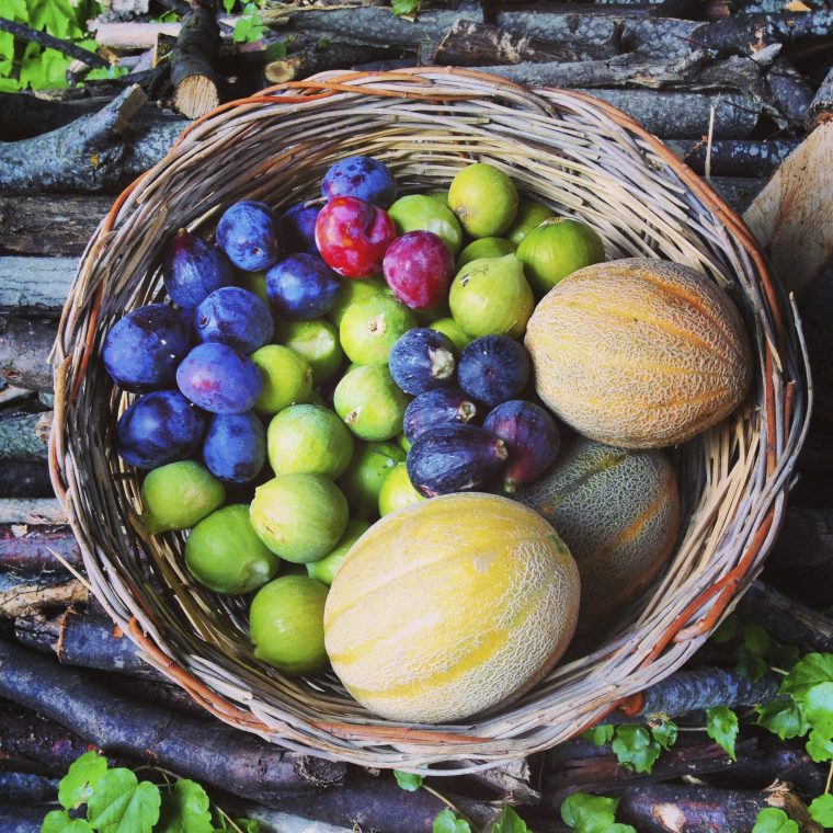 Fruit Basket – Global Ecovillage Network encequiconcerne Fruits Oranges