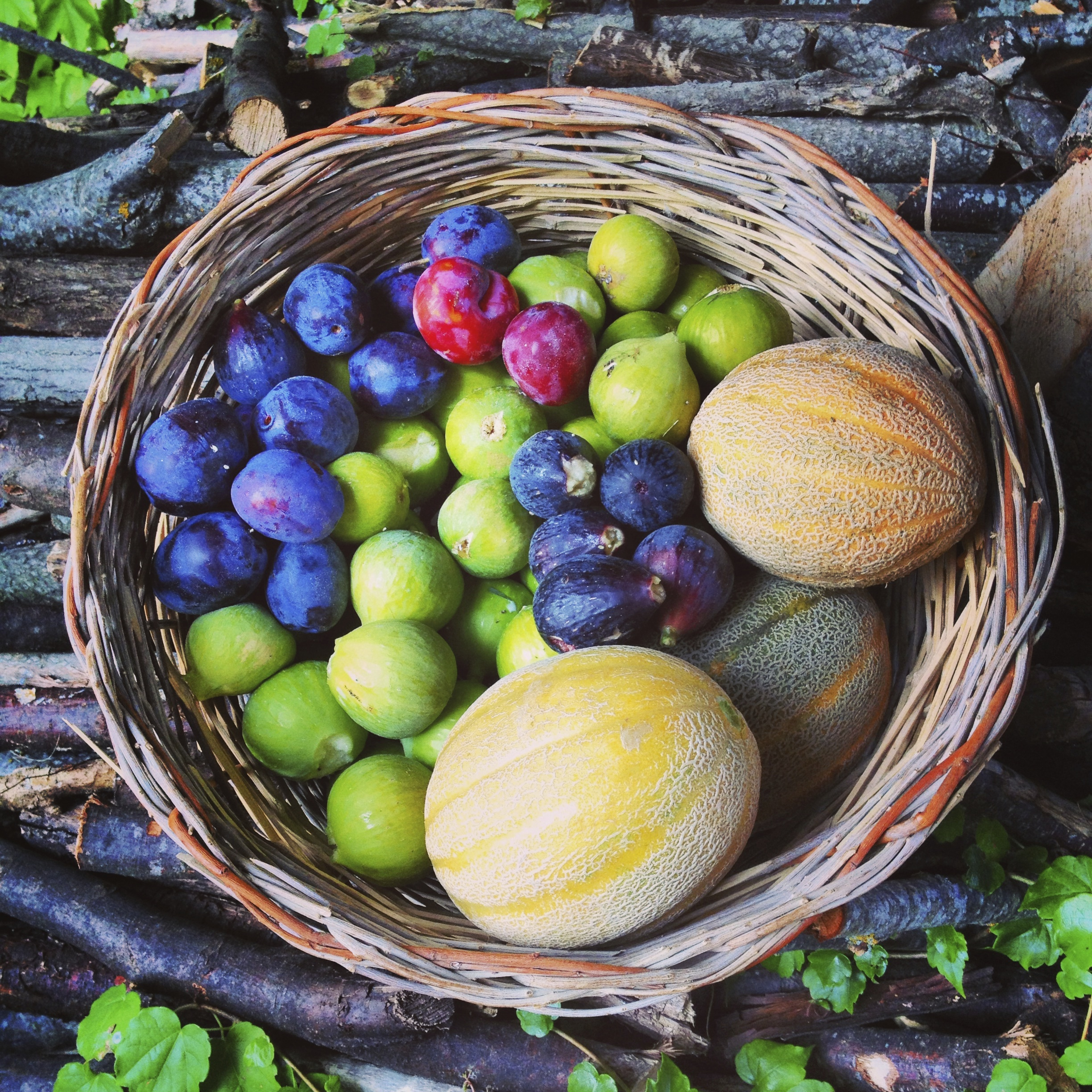 Fruit Basket - Global Ecovillage Network encequiconcerne Fruits Oranges 