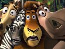 Gif De Comic Y Series: Gif De Madagascar dedans Morty Madagascar