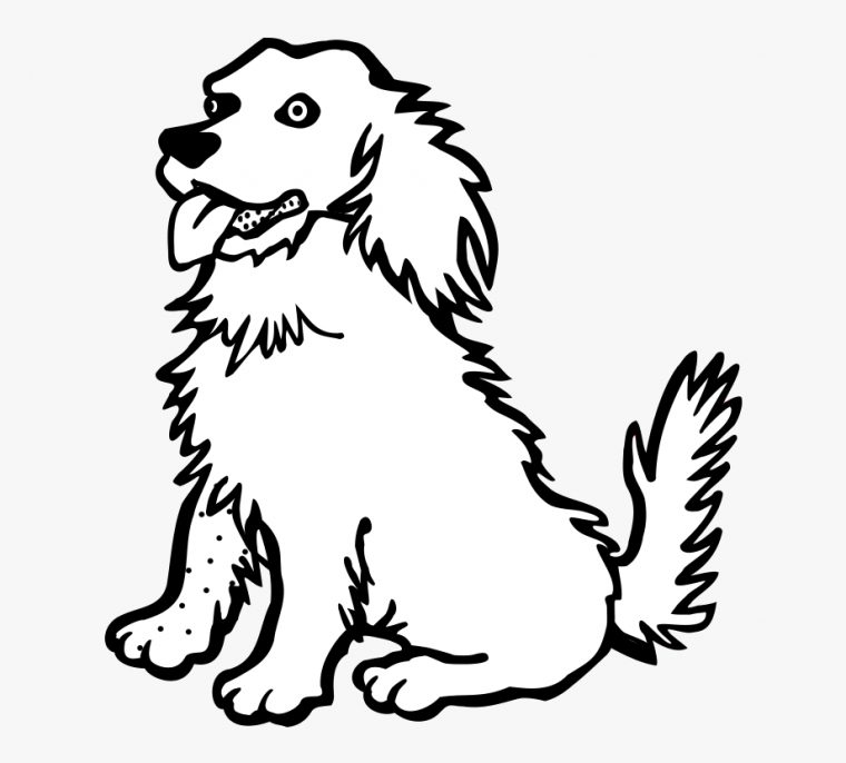 Golden Retriever Clipart Black And White – Coloriage Chien À Imprimer encequiconcerne Coloriage Chien