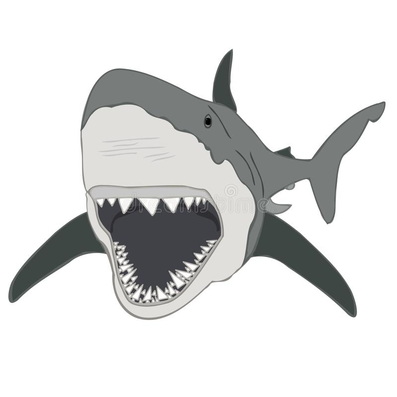 Grande Illustration De Gravure De Vintage De Dessin De Main De Requin tout Dessin Requin Blanc