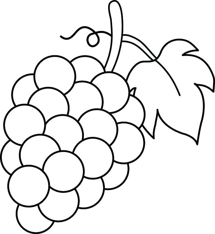 Grapes Coloring Pages - Fruit Clipart  Licorne Coloriage, Coloriage tout Coloriage Raisin