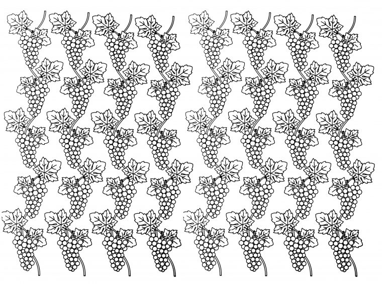 Grappes Raisin – Fleurs Et Végétation – Coloriages Difficiles Pour Adultes tout Coloriage Raisin