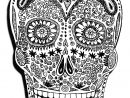 Halloween Skeleton Head - Halloween Adult Coloring Pages intérieur Halloween Dessin