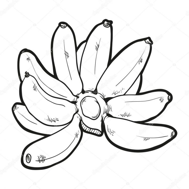 Haut Coloriage Banane 26 Dans Coloriage Idée By Coloriage Banane pour Coloriage Banane