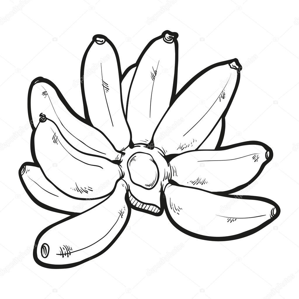 Haut Coloriage Banane 26 Dans Coloriage Idée By Coloriage Banane pour Coloriage Banane 