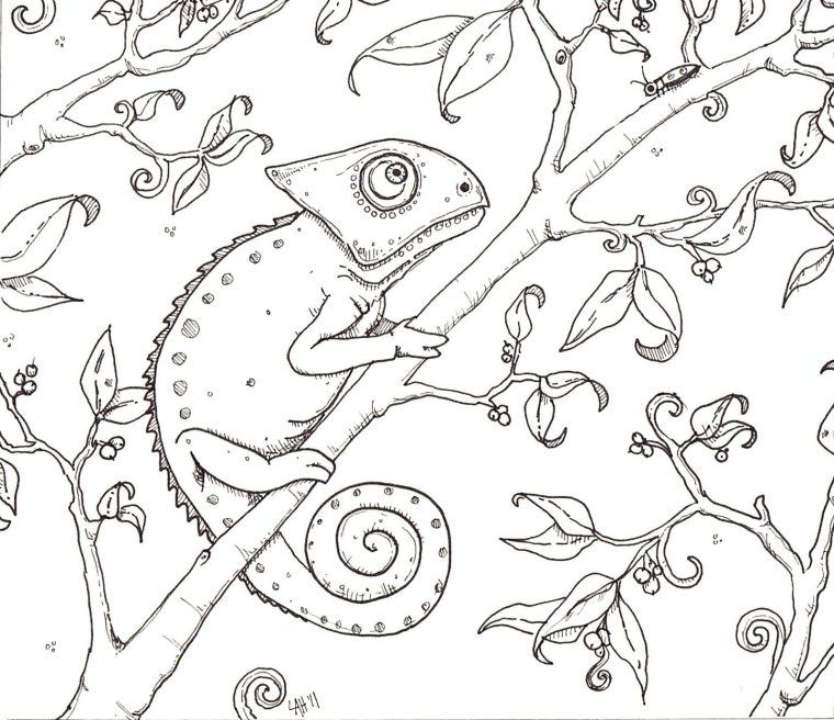 Hedgie'S Desk: Chameleon Coloring Page pour Coloriage Cameleon