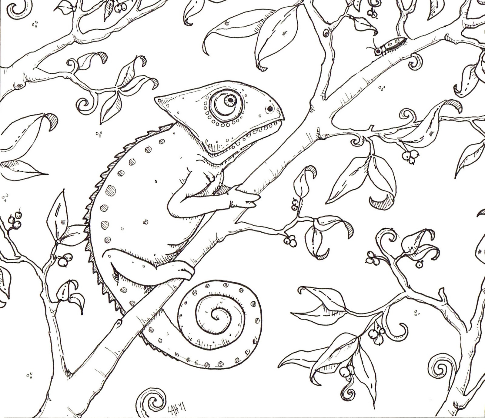 Hedgie&amp;#039;S Desk: Chameleon Coloring Page pour Coloriage Cameleon 