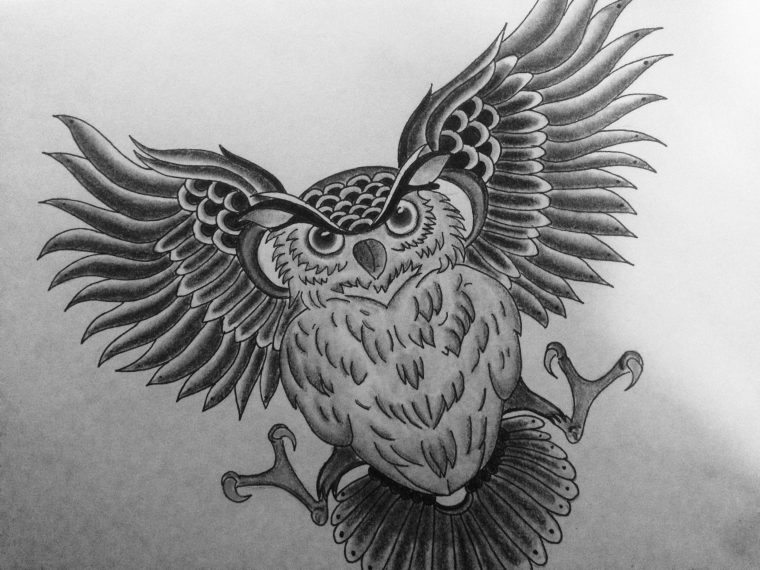 Hibou Dessin destiné Dessin Hibou